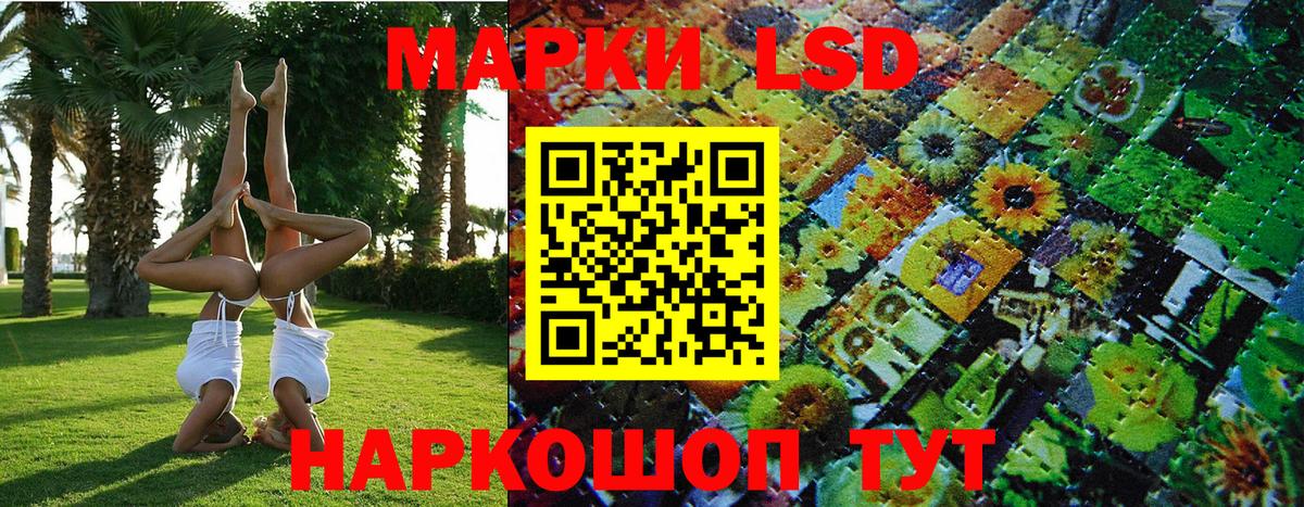 Новокубанск  купить закладку  Наркотические марки 1,5мг  Вход с VPN  Наркотические марки 1,5мг 