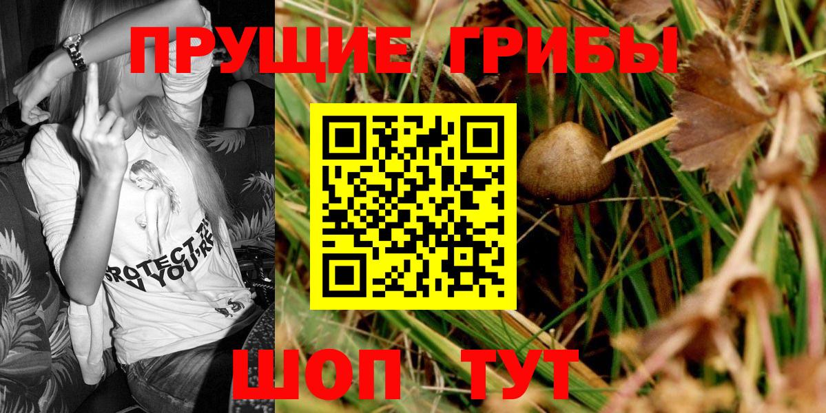 Новокубанск  Псилоцибиновые грибы мухоморы  Вход с VPN 