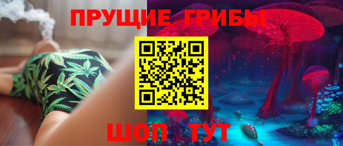 Псилоцибиновые грибы мухоморы Новокубанск